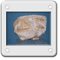 ASPRA POMICIA 50 X 40.JPG