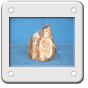 MADRE ONICE SICILIANO 18 X 12.JPG