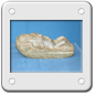 NUDO DI DONNA CIOTOLA DI FIUME 20 X 8.BMP