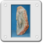 PINGUINO ONICE  SICILIANO 45 X 20.BMP