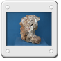 VITA  FOSSILIZATA ONICE SICILIANO 40 X 25.JPG